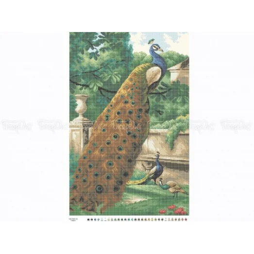 ЧВ-7062 Павлин. Схема для вышивки бисером. Бисерок