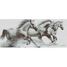 G495 Белые лошади. Набор для вышивки нитками Luca-s 
