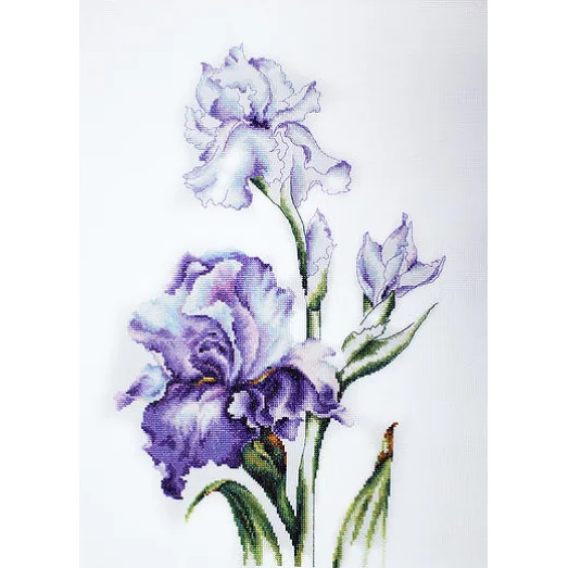 B2251 Ирисы. Набор для вышивки нитками. Luca-s