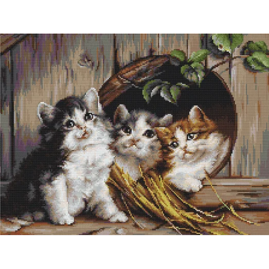 G520 Дружественный приют. Набор для вышивки нитками Luca-s 