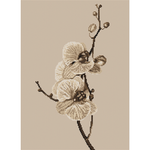 B291 Орхидеи. Набор для вышивки нитками. Luca-s 