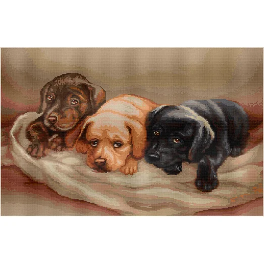 G434 Три собачки. Набор для вышивки нитками Luca-s