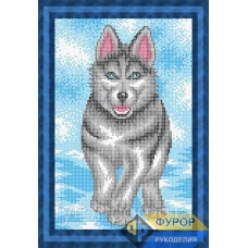 ФР-ЖБп4-073 Собака Хаски. Схема для вышивки бисером ТМ Фурор Рукоделия