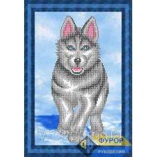 ФР-ЖБч4-074 Собака Хаски. Схема для вышивки бисером ТМ Фурор Рукоделия