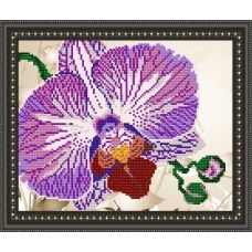 VКA-4105 Орхидея. Схема для вышивки бисером. АртСоло