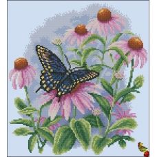 ФЧК-3250 Бабочка на цветах эхинацеи. Схема для вышивки бисером Феникс