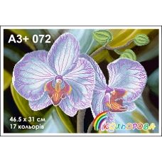 КЛВ-072 (А3+) Белая орхидея. Схема для вышивки бисером Кольорова