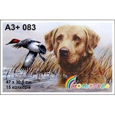 КЛВ-083 (А3+) Охотничья собака. Схема для вышивки бисером Кольорова