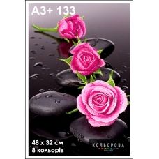 КЛВ-133 (А3+) Розы. Схема для вышивки бисером Кольорова