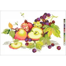 А4-14-011 Фрукты. Канва для вышивки бисером Вышиванка