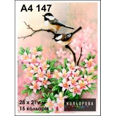 КЛВ-147 (А4) Птички. Схема для вышивки бисером Кольорова