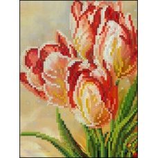 ФЧК-5199 Полосатые тюльпаны. Схема для вышивки бисером Феникс