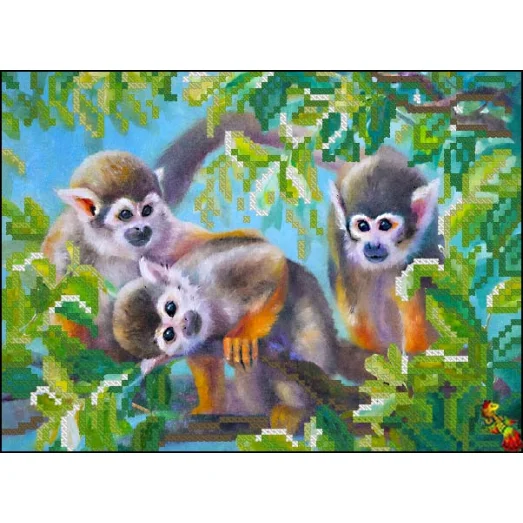 ФЧК-5186 Семейство обезьянок. Схема для вышивки бисером Феникс