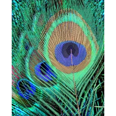 АК3-161 Перо павлина. Схема для вышивки бисером А-Строчка