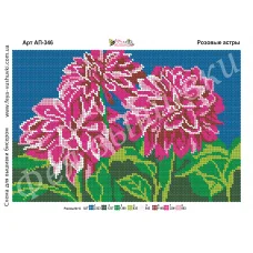АП-346 Розовые астры. Схема для вышивки бисером Фея Вышивки