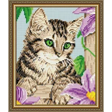 АТ5554 Котенок в клематисах. Набор для рисования камнями. Арт Солло