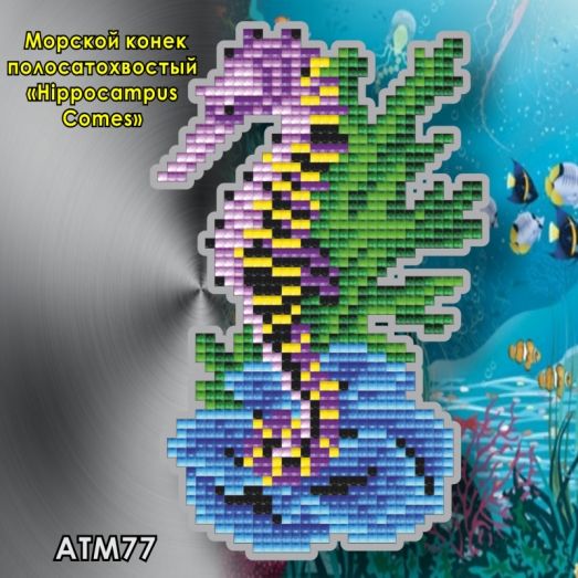 АТМ-077 Морской конек полосатохвостый. Набор магнит в алмазной технике ТМ Артсоло