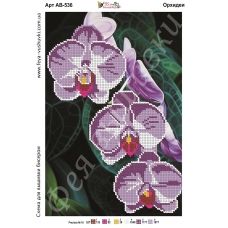 АВ-536 Орхидеи. Схема для вышивки бисером Фея Вышивки