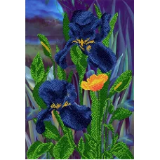 АХ2-015 Волшебные ирисы. Схема для вышивки бисером. А-Строчка