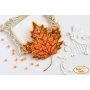 Б-116 Золотой клен. Набор для вышивки украшения Тела Артис