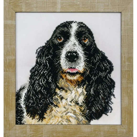 Б-742 Спаниель. Набор для вышивки бисером Чаривна Мить