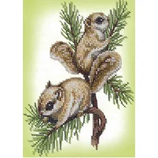 А5-Д-364 Белки-летяги. Схема для вышивки бисером ТМ Acorns