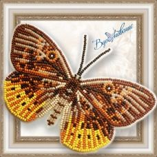 BGP-054 Набор для вышивки Бабочка Eurybia Juturna. ТМ Вдохновение