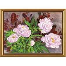 БИС-3007 Пионы Нова слобода