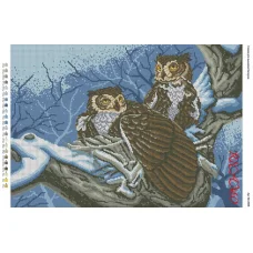 А2Н_036 БК-2008 Совы. Схема для вышивки бисером ТМ Virena
