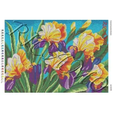 А2Н_039 БК-2022 Солнечные цветы. Схема для вышивки бисером ТМ Virena