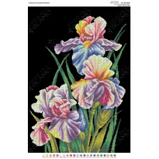 А2Н_021 БК-2046 Ирисы на черном. Схема для вышивки бисером ТМ Virena