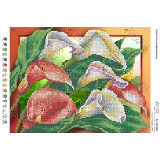 А3Н_113 БК-3342 Каллы . Схема для вышивки бисером ТМ Virena 
