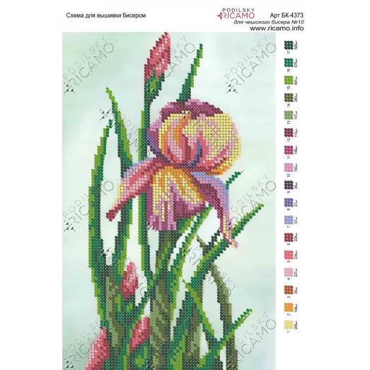 А4Н_116 БК-4373 Ранний ирис. Схема для вышивки бисером ТМ Virena