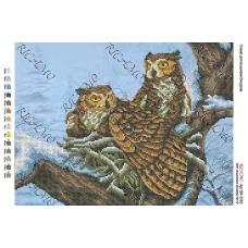 А3Н_028 БК-3165 Совы. Схема для вышивки бисером ТМ Virena