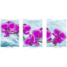 БН-004 Фиолетовые орхидеи. Схема для вышивки бисером ТМ Вышиванка