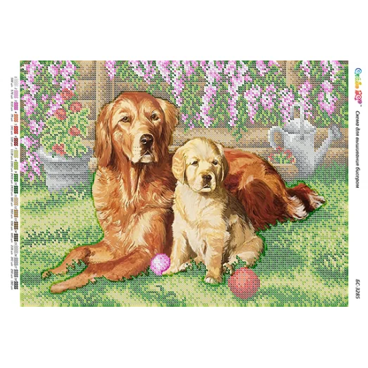 БС-3285 Золотистый ретривер. Схема для вышивки бисером ТМ Сяйво