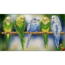 ФЧК-4282 Волнистые попугайчики. Схема для вышивки бисером Феникс