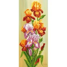 EF-018(17*39) Разноцветные ирисы. Схема для вышивки бисером СвитАрт