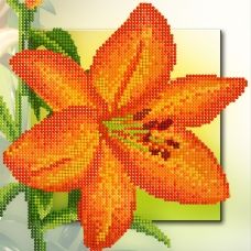 F-048 Оранжевый цветок. Схема для вышивки бисером СвитАрт
