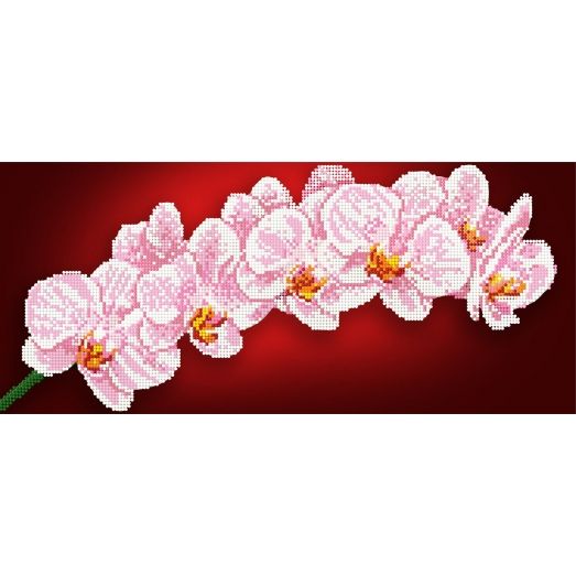 F-221 Розовая орхидея. Схема для вышивки бисером СвитАрт