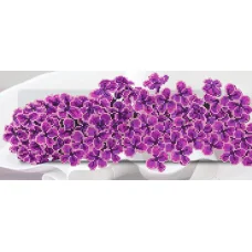 F-256 (17*39) Сирень. Схема для вышивки бисером СвитАрт