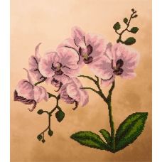 FLF-018 Розовая орхидея. Набор на холсте для вышивки бисером Волшебная Страна
