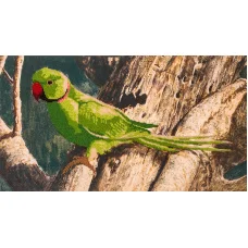 FLF-026 Попугай. Набор на холсте для вышивки бисером Волшебная Страна