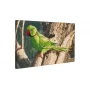 FLF-026 Попугай. Набор на холсте для вышивки бисером Волшебная Страна