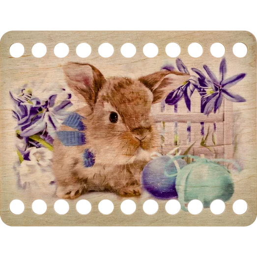 FLZ-003 (М-8) Органайзер для мулине Волшебная Страна