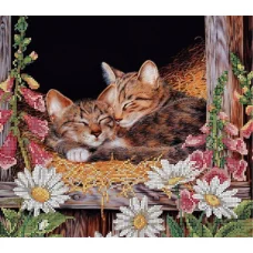 S-155 Сладкий сон. Схема для вышивки бисером ТМ Картины бисером