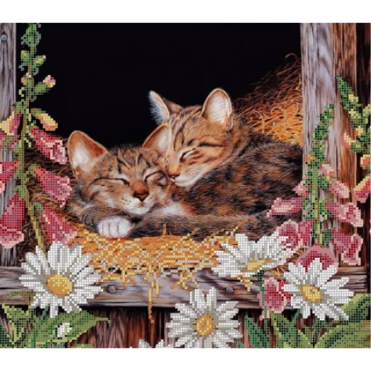 S-155 Сладкий сон. Схема для вышивки бисером ТМ Картины бисером