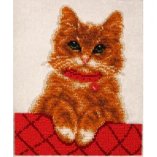 ТН-0822 Котик Персик. Набор для вышивки бисером ТМ ВДВ