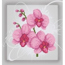 Т-0994 Орхидея розовая. Схема для вышивки бисером. ТМ ВДВ
