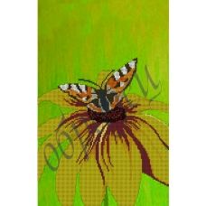 КМР-3042 Бабочка на цветке. Схема для вышивки бисером Краина Моих Мрий